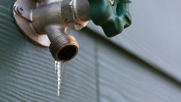 Best Plumbing Services Near Me  in Flora, AL