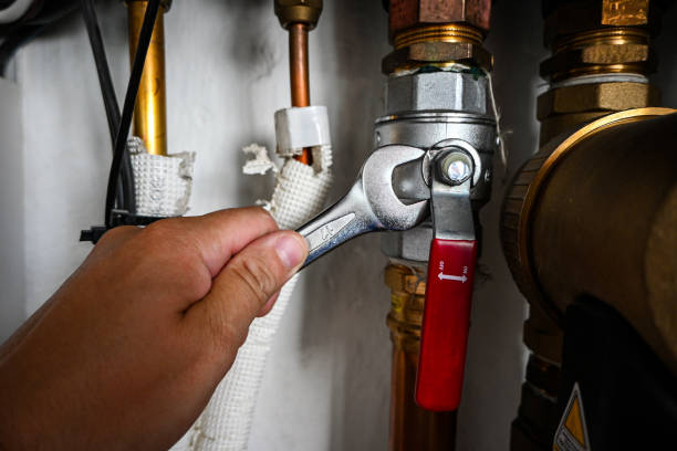 Best Same-Day Plumbing Service  in Flora, AL